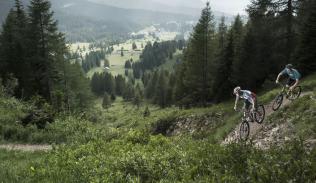 banner-bike15