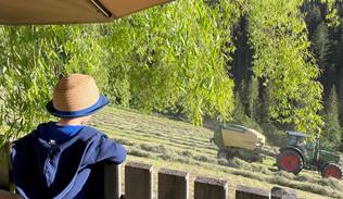 img-0252-1
