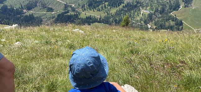 img-0447-3